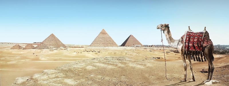 Unearthed Treasures Image